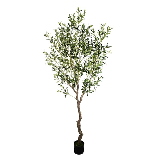 Garden Gyani Olive Tree – 220 cm Tall Artificial Plant with Pot | Lifelike Faux Indoor & Outdoor Décor