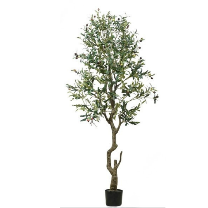 Garden Gyani Spiraal Trunk Olive Tree – 180 cm Tall Artificial Plant with Pot | Lifelike Faux Indoor & Outdoor Décor