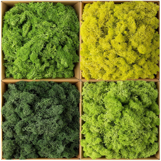 Mixed Color Preserved Reindeer Moss Set 1kg – 4 Colors × 250g Decorative Moss for Crafts & Moss Walls