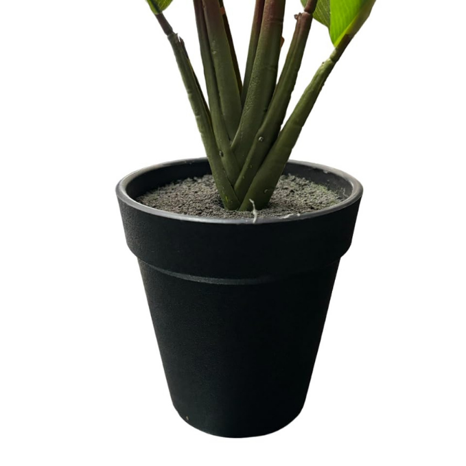Garden Gyani Artificial Banana Travellers Palm Plant – 36 cm (14") Tall Faux Tropical Plant with Plastic Pot | Realistic Indoor Greenery for Home & Office Décor