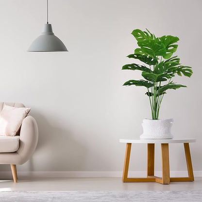 Garden Gyani Artificial Money Plant – 55 cm Tall Faux Green Ornamental Plant with White Pot | Indoor Palm Leaf Monstera for Home & Office Decor