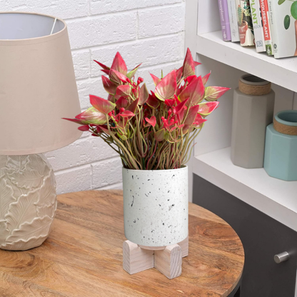 Garden Gyani Artificial Rubber Plant – Small Faux Potted Plant for Tabletop, Home, Bathroom & Office Décor | Indoor Decorative Greenery