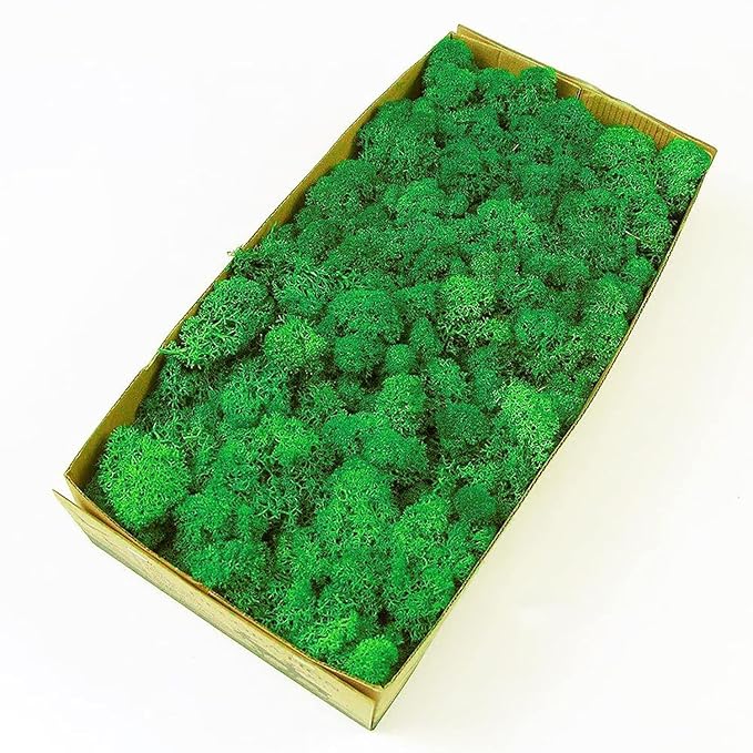 Garden Gyani Prefleur Preserved Reindeer Craft Moss | Natural Green DIY Kit for Gardening, Arts & Crafts, Florist Projects, Wedding Backdrop & Home Decoration
