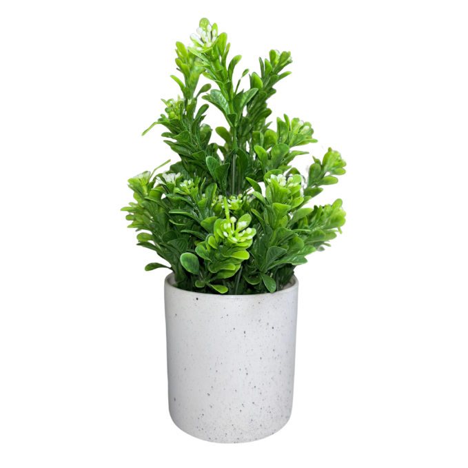 Garden Gyani Artificial Rubber Plant – Small Faux Potted Plant for Tabletop, Home, Bathroom & Office Décor | Indoor Decorative Greenery