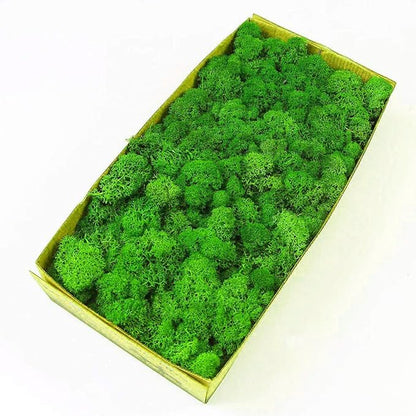 Decorative Artificial Moss / Preserved Green Moss 1kg – Natural Look Craft & Decor Filler