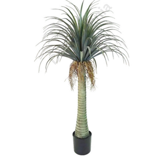 Garden Gyani Cactus Dracena – 130 cm Tall Artificial Plant with Pot | Lifelike Faux Indoor & Outdoor Décor