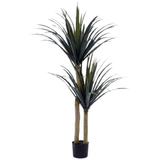 Garden Gyani Yucca Cactus X2 – 105 cm Tall Artificial Plant | Lifelike Faux Indoor & Outdoor Décor