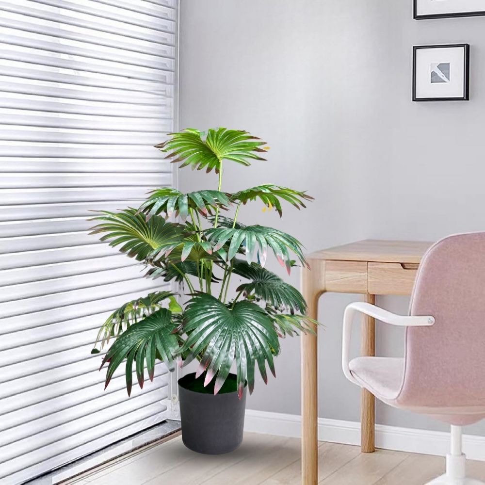 Garden Gyani Artificial Licuala Palm Plant with Pot – 2.5 Ft Tall Ruffled Fan Palm Tree | Realistic Faux Tropical Indoor Plant for Home & Office Décor