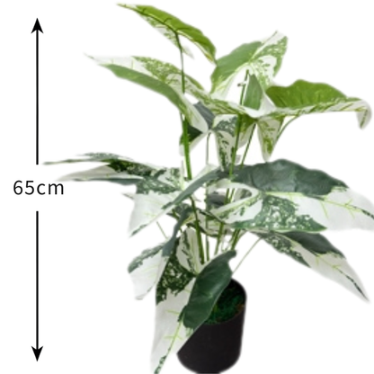 Garden Gyani Aglonema X18 – 65 cm Tall Artificial Plant | Lifelike Faux Indoor & Outdoor Décor