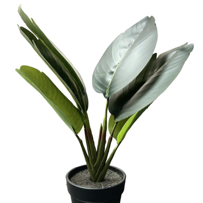 Garden Gyani Artificial Banana Travellers Palm Plant – 36 cm (14") Tall Faux Tropical Plant with Plastic Pot | Realistic Indoor Greenery for Home & Office Décor