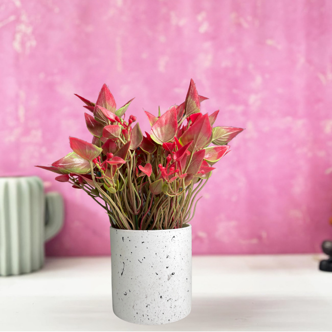 Garden Gyani Artificial Rubber Plant – Small Faux Potted Plant for Tabletop, Home, Bathroom & Office Décor | Indoor Decorative Greenery