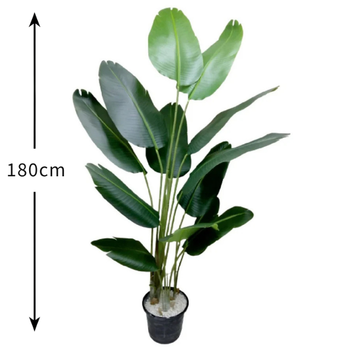 Garden Gyani Artificial Traveller Palm – 180CM Tall Faux Palm Tree with 12 Lush Leaves | Without Pot | Decorative Tropical Plant for Home, Office & Events