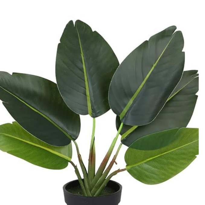 Garden Gyani Artificial Banana Travellers Palm Plant – 36 cm (14") Tall Faux Tropical Plant with Plastic Pot | Realistic Indoor Greenery for Home & Office Décor