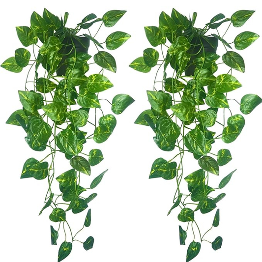 Garden Gyani Artificial Hanging Money Plant with Pot | Pothos Vine Hanging Plant 50 cm | Indoor Outdoor Decor (Plastic Pot Included)