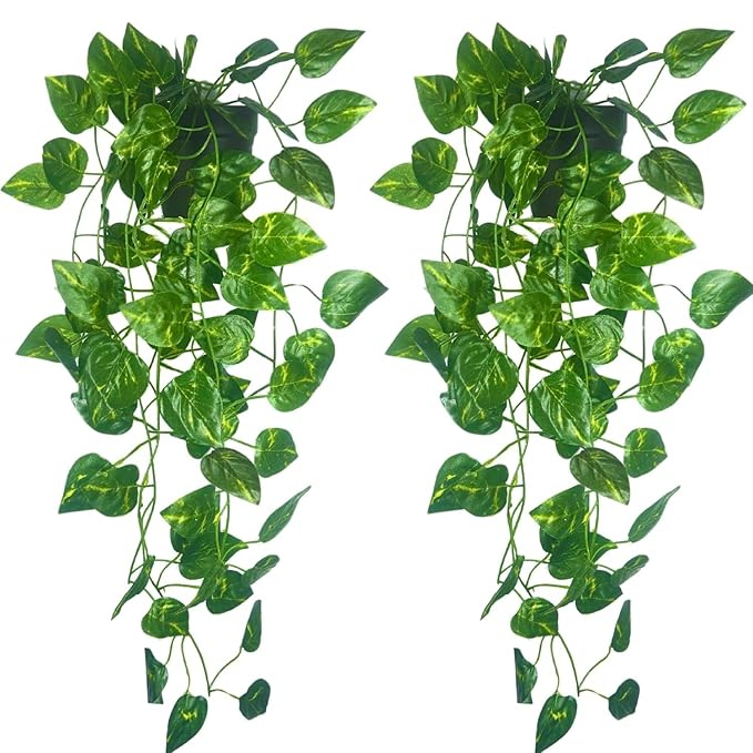 Artificial Money Plant Hanging Creeper – Decorative Faux Pothos Vine (Pot Not Included)