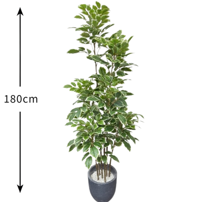 Garden Gyani Artificial Red Machira Variegated Plant – 180CM Tall Faux Tree Without Pot | Decorative Statement Plant for Home, Office & Events