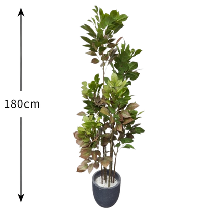 Garden Gyani Artificial Red Machira Plant – 180CM Tall Faux Tree Without Pot | Bold Decorative Plant for Home, Office & Event Décor