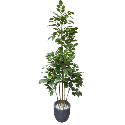Garden Gyani Artificial Red Machira Green Plant – 180CM Tall Faux Tree Without Pot | Lush Decorative Plant for Home, Office & Events