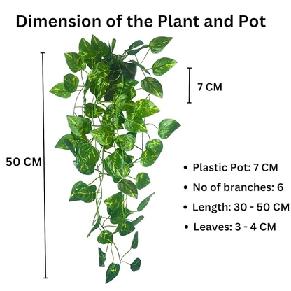 Garden Gyani Artificial Hanging Money Plant with Pot | Pothos Vine Hanging Plant 50 cm | Indoor Outdoor Decor (Plastic Pot Included)