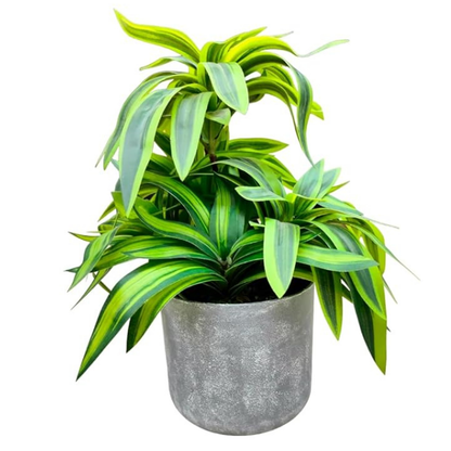 Garden Gyani Handmade Artificial Dracaena Reflexa Bonsai Plant with Pot – 30 cm Tall Faux Decorative Plant for Home & Office Décor | Realistic Indoor Greenery