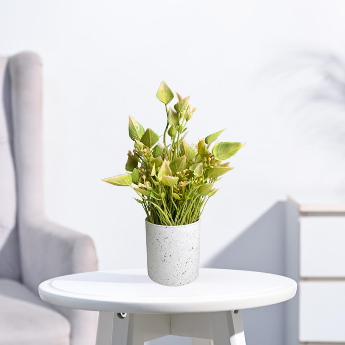 Garden Gyani Artificial Rubber Plant – Small Faux Potted Plant for Tabletop, Home, Bathroom & Office Décor | Indoor Decorative Greenery