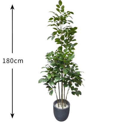 Garden Gyani Artificial Red Machira Green Plant – 180CM Tall Faux Tree Without Pot | Lush Decorative Plant for Home, Office & Events