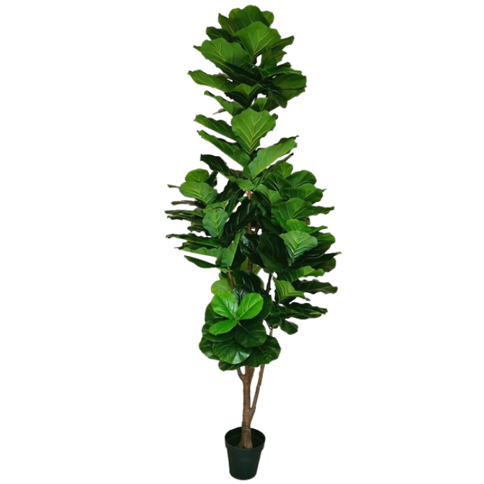 Garden Gyani Jumbo Artificial Fiddle Fig Tree – 260CM Tall Faux Plant Without Pot | Oversized Decorative Greenery for Homes, Offices & Events