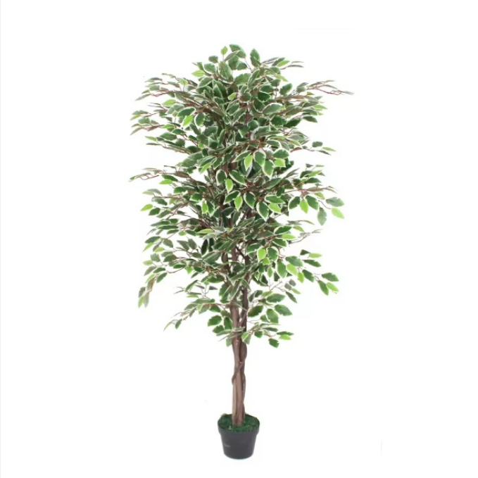 Garden Gyani Variegated Ficus in Wooden Bark – 180 cm Tall Artificial Plant Without Pot | Lifelike Faux Indoor Greenery
