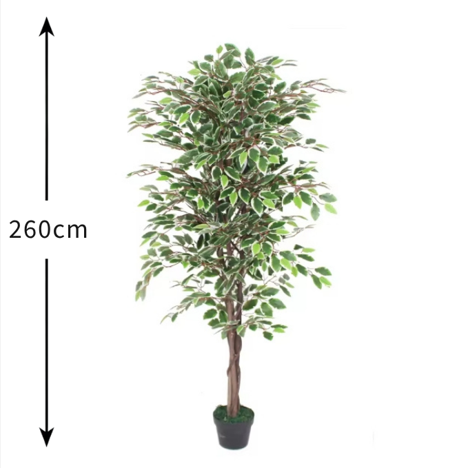 Garden Gyani Variegated Ficus in Wooden Bark – 180 cm Tall Artificial Plant Without Pot | Lifelike Faux Indoor Greenery