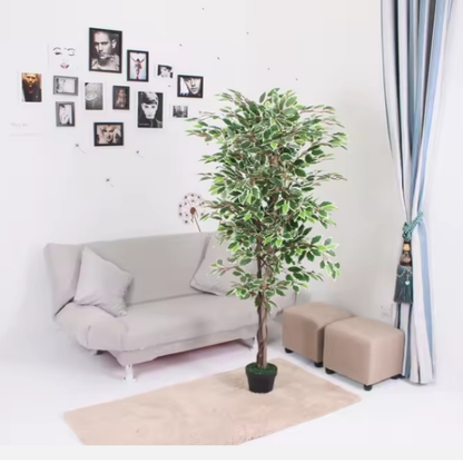 Garden Gyani Variegated Ficus in Wooden Bark – 180 cm Tall Artificial Plant Without Pot | Lifelike Faux Indoor Greenery