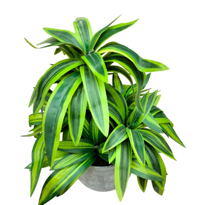 Garden Gyani Handmade Artificial Dracaena Reflexa Bonsai Plant with Pot – 30 cm Tall Faux Decorative Plant for Home & Office Décor | Realistic Indoor Greenery