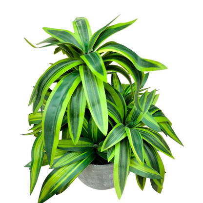 Garden Gyani Handmade Artificial Dracaena Reflexa Bonsai Plant with Pot – 30 cm Tall Faux Decorative Plant for Home & Office Décor | Realistic Indoor Greenery