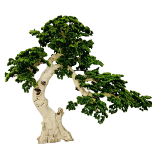 Garden Gyani 195cm Semi-Natural Pine Tree Bonsai with Pot – Real-Trunk Faux Indoor Tree for Home, Office & Luxury Décor