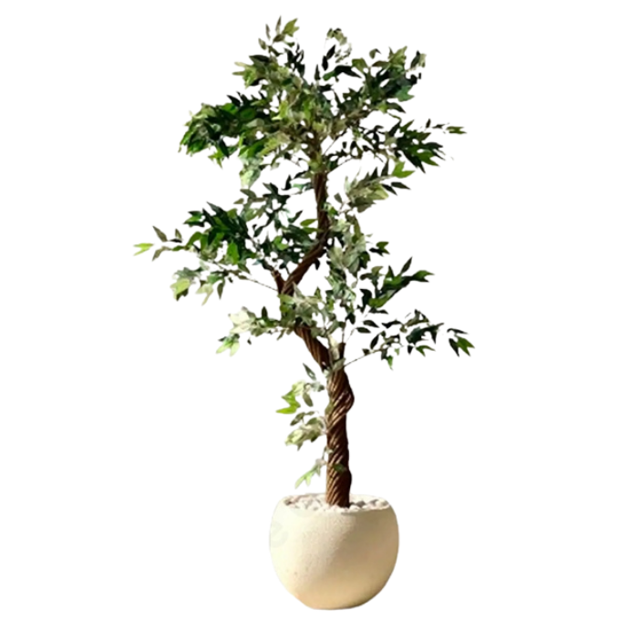 Garden Gyani Twisted Olive Tree – 180 cm Tall Artificial Plant Without Pot | Lifelike Faux Indoor & Outdoor Greenery