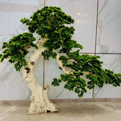 Garden Gyani 195cm Semi-Natural Pine Tree Bonsai with Pot – Real-Trunk Faux Indoor Tree for Home, Office & Luxury Décor