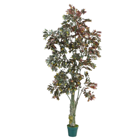 Garden Gyani Ficus Red – 200 cm Tall Artificial Plant with Pot | Lifelike Faux Indoor & Outdoor Greenery
