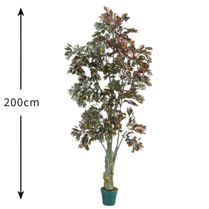 Garden Gyani Ficus Red – 200 cm Tall Artificial Plant with Pot | Lifelike Faux Indoor & Outdoor Greenery