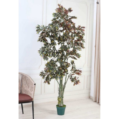 Garden Gyani Ficus Red – 200 cm Tall Artificial Plant with Pot | Lifelike Faux Indoor & Outdoor Greenery