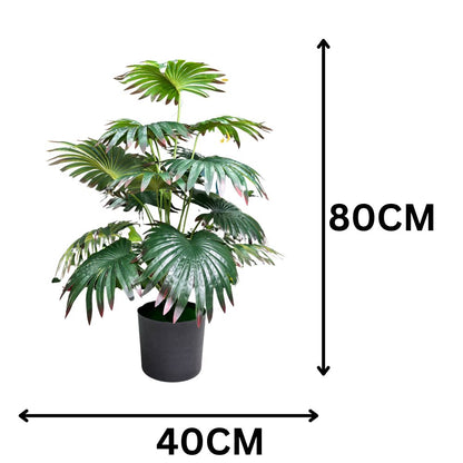 Garden Gyani Artificial Licuala Palm Plant with Pot – 2.5 Ft Tall Ruffled Fan Palm Tree | Realistic Faux Tropical Indoor Plant for Home & Office Décor