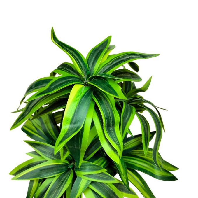 Garden Gyani Handmade Artificial Dracaena Reflexa Bonsai Plant with Pot – 30 cm Tall Faux Decorative Plant for Home & Office Décor | Realistic Indoor Greenery