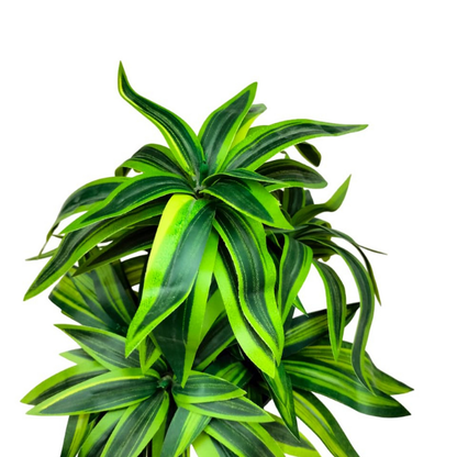 Garden Gyani Handmade Artificial Dracaena Reflexa Bonsai Plant with Pot – 30 cm Tall Faux Decorative Plant for Home & Office Décor | Realistic Indoor Greenery