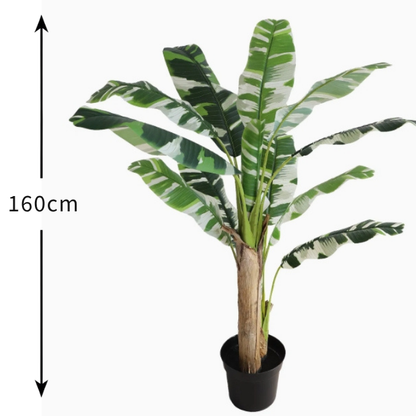Garden Gyani Banana White X3 – 180 cm Tall Artificial Plant Without Pot | Lifelike Faux Tropical Greenery for Home & Office