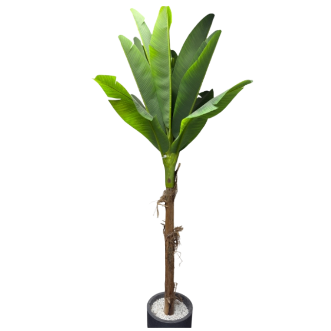 Garden Gyani Banana Tree – 240 cm Tall Artificial Plant with 17 Lifelike Leaves Without Pot | Faux Tropical Greenery for Home & Office