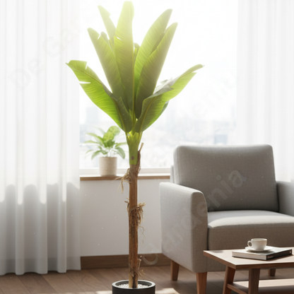 Garden Gyani Banana Tree – 240 cm Tall Artificial Plant with 17 Lifelike Leaves Without Pot | Faux Tropical Greenery for Home & Office