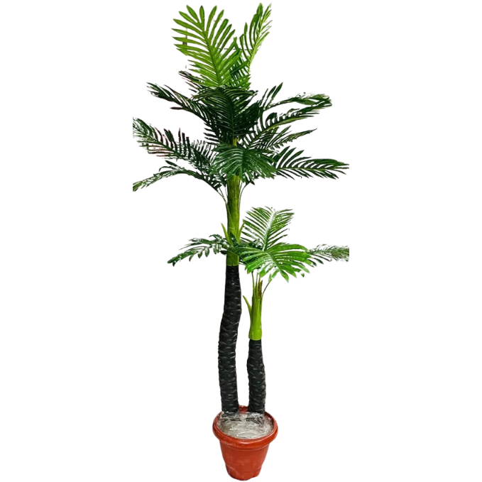 Garden Gyani Areca Palm X2 – 170 cm Tall Artificial Plant Without Pot | Lifelike Faux Tropical Greenery for Home & Office