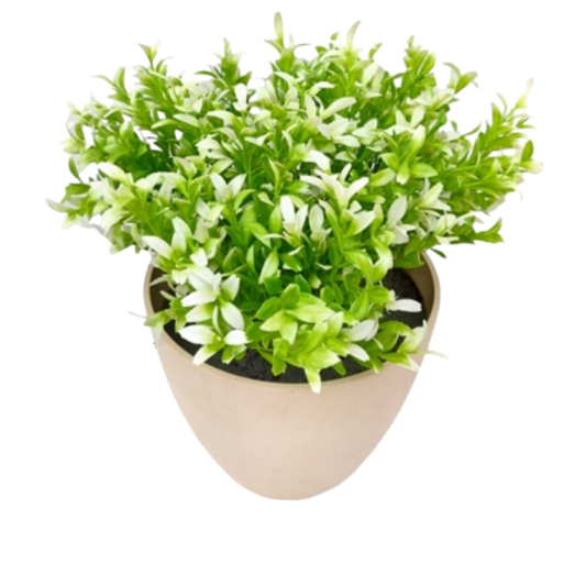 Garden Gyani White Plastic Bunch – 35 cm Tall Artificial Plant | Lifelike Faux Foliage for Home, Office & Décor