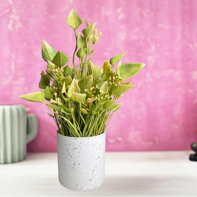 Garden Gyani Artificial Rubber Plant – Small Faux Potted Plant for Tabletop, Home, Bathroom & Office Décor | Indoor Decorative Greenery