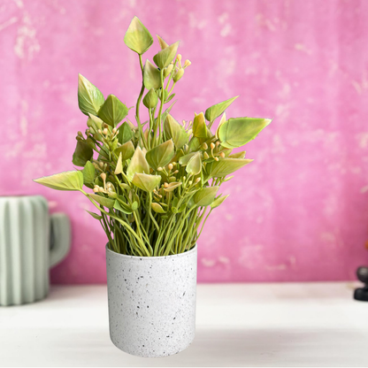 Garden Gyani Artificial Rubber Plant – Small Faux Potted Plant for Tabletop, Home, Bathroom & Office Décor | Indoor Decorative Greenery