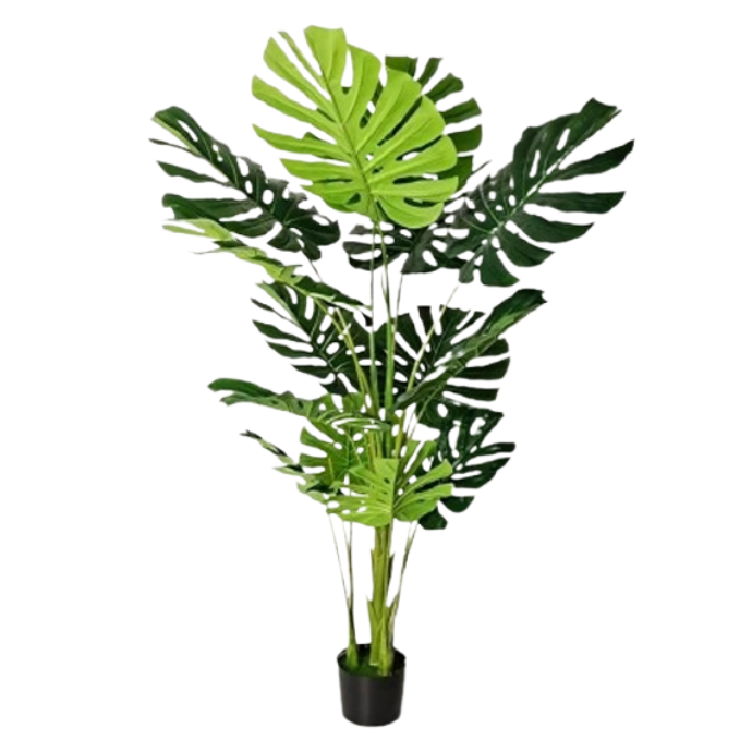 Garden Gyani Monstera Plant – 150 cm Tall Artificial Plant with 15 Lifelike Leaves Without Pot | Lifelike Faux Tropical Greenery for Home & Office