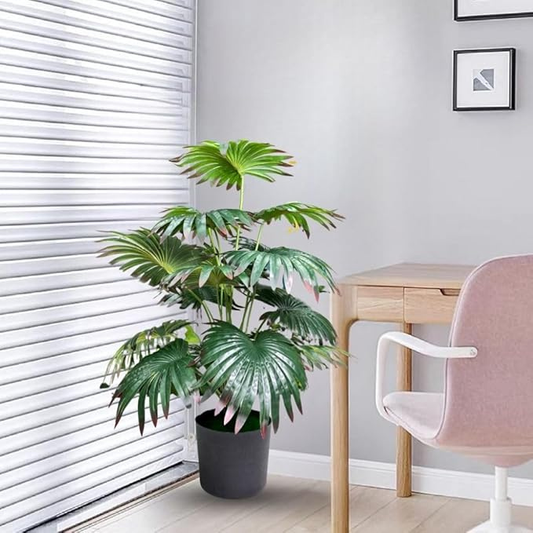 Garden Gyani Artificial Licuala Palm Plant with Pot – 2.5 Feet Tall Faux Ruffled Fan Palm for Home & Office Décor | Realistic Tropical Indoor Plant